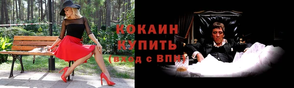 стафф Абаза
