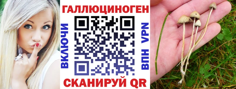 Галлюциногенные грибы Magic Shrooms  Никольское 