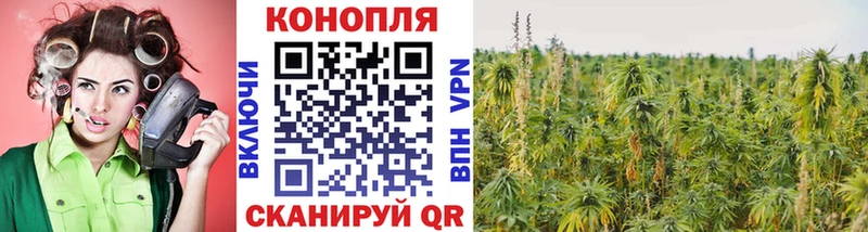 Канабис конопля  Никольское 
